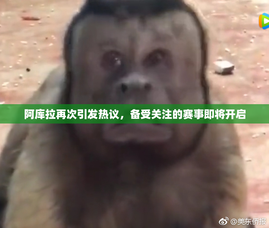 阿库拉再次引发热议，备受关注的赛事即将开启