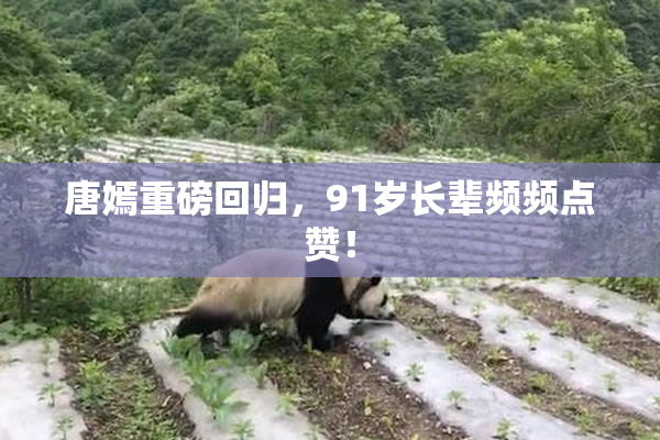 唐嫣重磅回归，91岁长辈频频点赞！