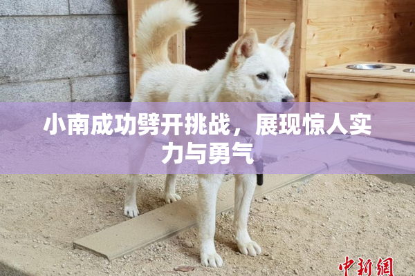 小南成功劈开挑战，展现惊人实力与勇气