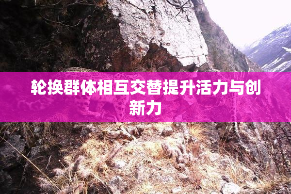 轮换群体相互交替提升活力与创新力