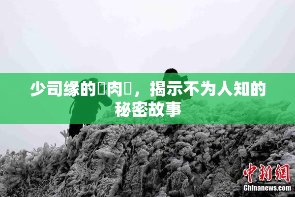 少司缘的婬肉泬，揭示不为人知的秘密故事