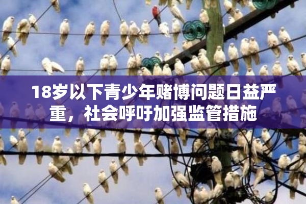 18岁以下青少年赌博问题日益严重，社会呼吁加强监管措施