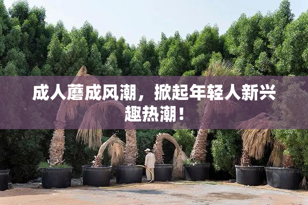 成人蘑成风潮，掀起年轻人新兴趣热潮！