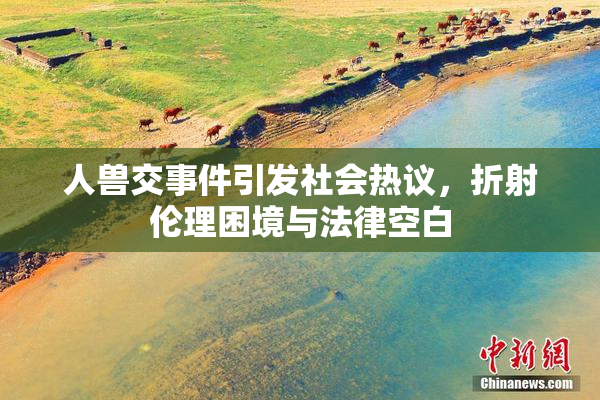 人兽交事件引发社会热议，折射伦理困境与法律空白