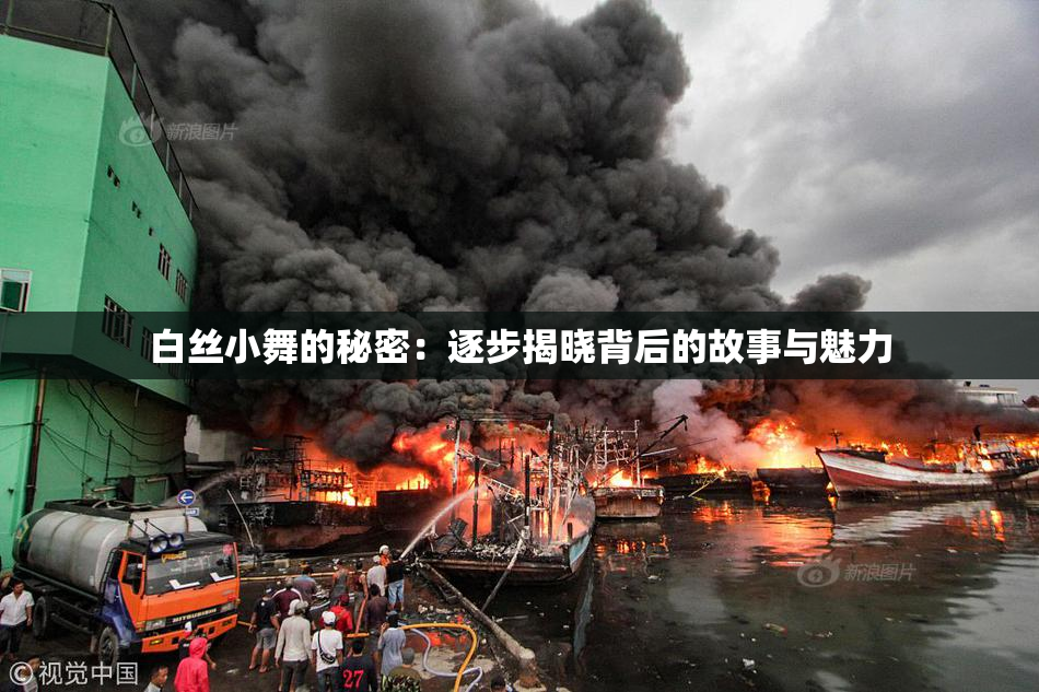 白丝小舞的秘密：逐步揭晓背后的故事与魅力