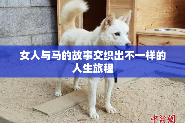 女人与马的故事交织出不一样的人生旅程