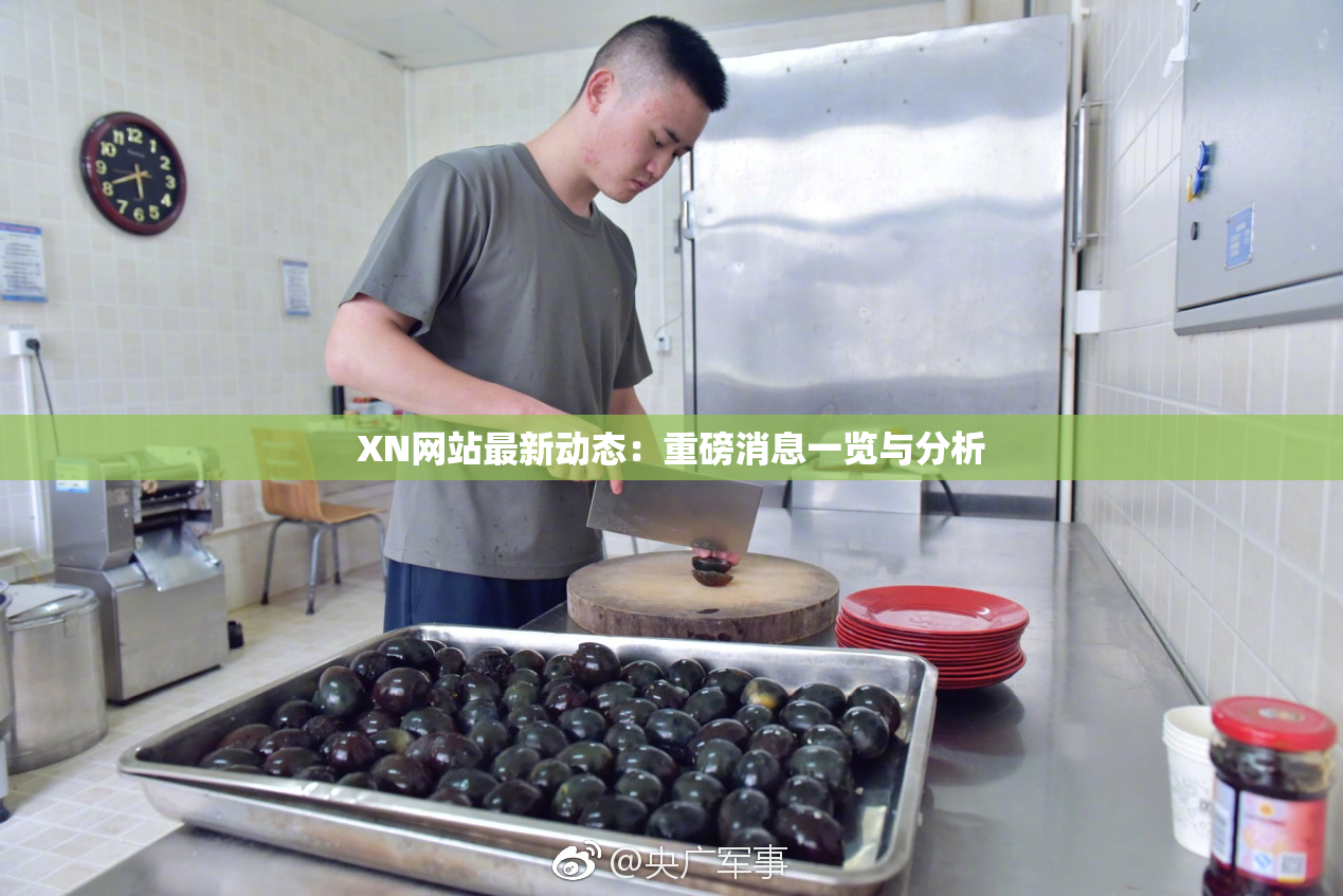 XN网站最新动态：重磅消息一览与分析