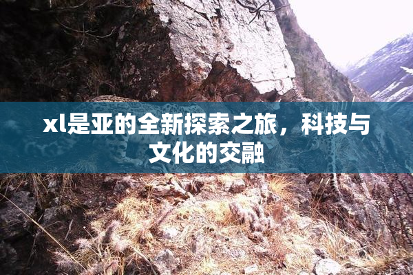 xl是亚的全新探索之旅，科技与文化的交融