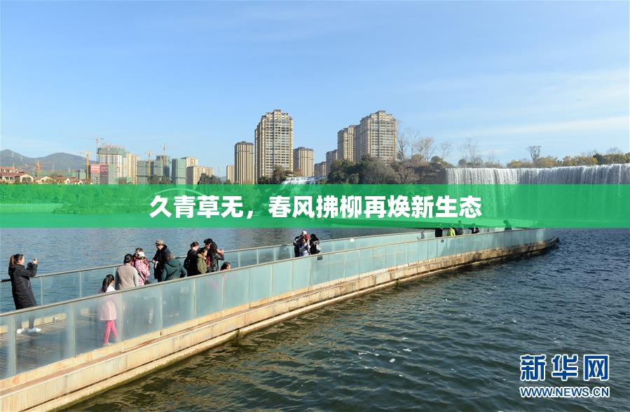 久青草无，春风拂柳再焕新生态