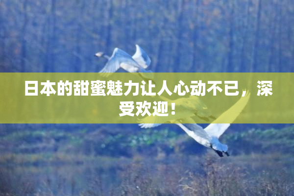 日本的甜蜜魅力让人心动不已，深受欢迎！