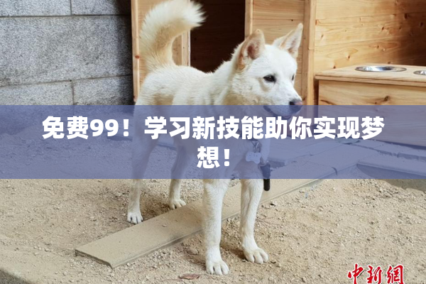 免费99！学习新技能助你实现梦想！