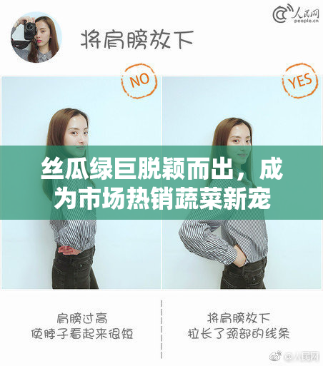 丝瓜绿巨脱颖而出，成为市场热销蔬菜新宠