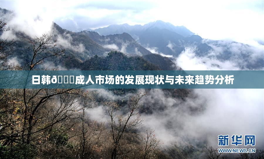 日韩🔞成人市场的发展现状与未来趋势分析