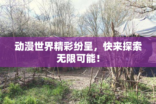 动漫世界精彩纷呈，快来探索无限可能！