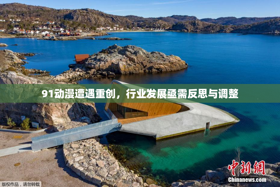 91动漫遭遇重创，行业发展亟需反思与调整