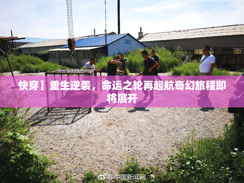 快穿】重生逆袭，命运之轮再起航奇幻旅程即将展开