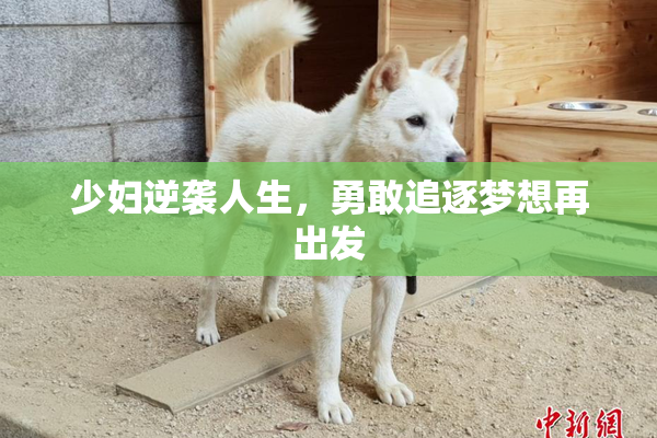 少妇逆袭人生，勇敢追逐梦想再出发