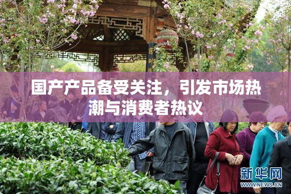 国产产品备受关注，引发市场热潮与消费者热议