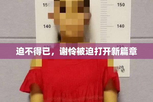 迫不得已，谢怜被迫打开新篇章