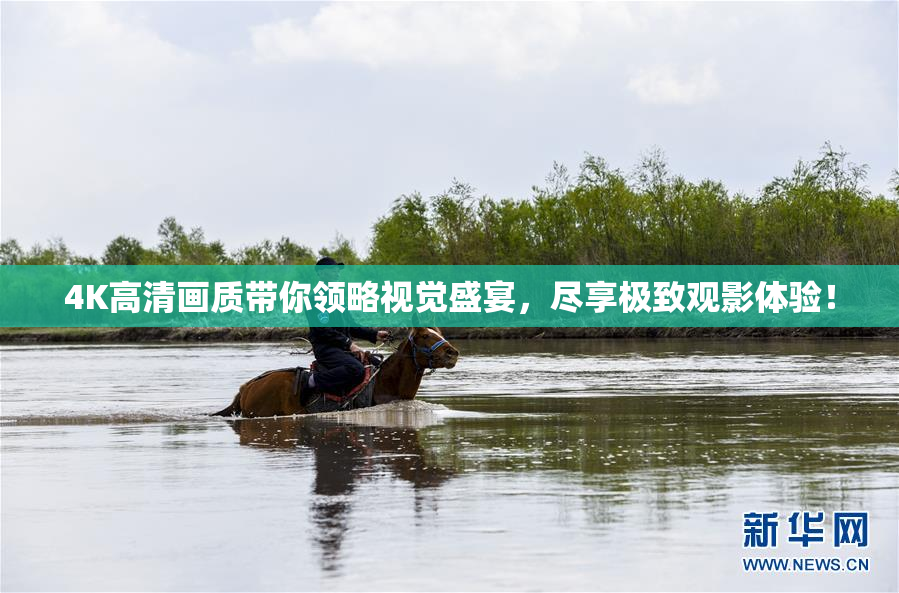 4K高清画质带你领略视觉盛宴，尽享极致观影体验！