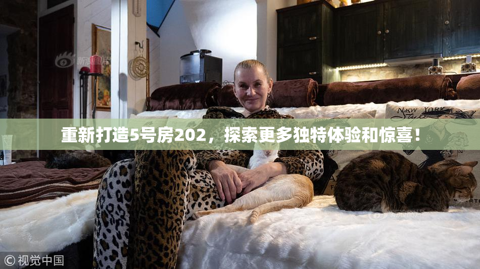 重新打造5号房202，探索更多独特体验和惊喜！