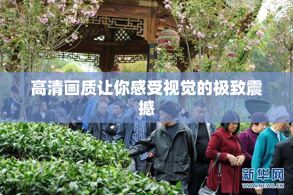高清画质让你感受视觉的极致震撼