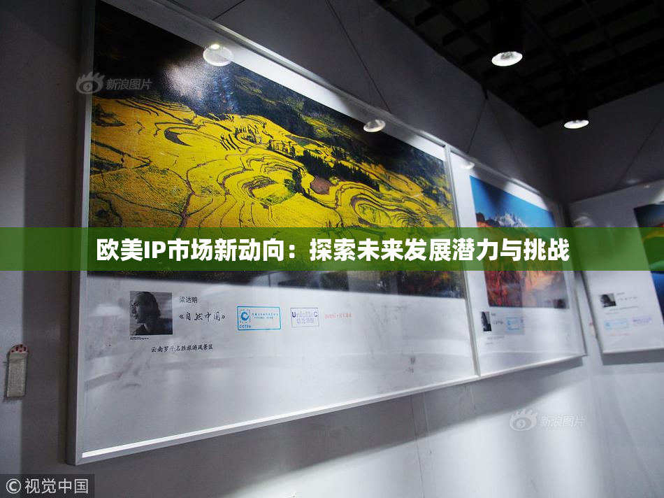 欧美IP市场新动向：探索未来发展潜力与挑战