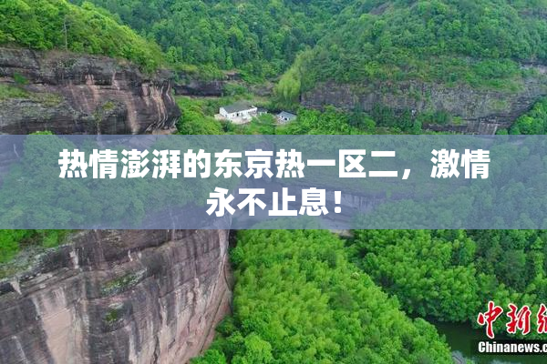 热情澎湃的东京热一区二，激情永不止息！