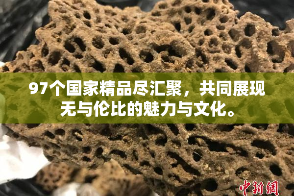 97个国家精品尽汇聚，共同展现无与伦比的魅力与文化。