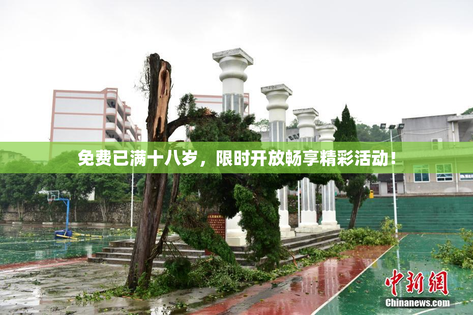免费已满十八岁，限时开放畅享精彩活动！
