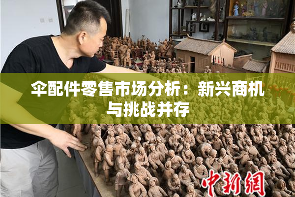 伞配件零售市场分析：新兴商机与挑战并存