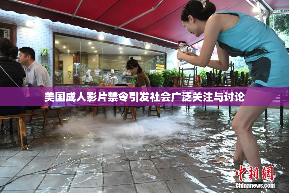 美国成人影片禁令引发社会广泛关注与讨论