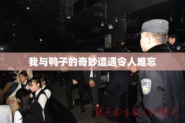 我与鸭子的奇妙遭遇令人难忘