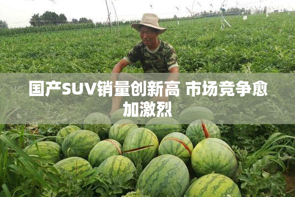 国产SUV销量创新高 市场竞争愈加激烈