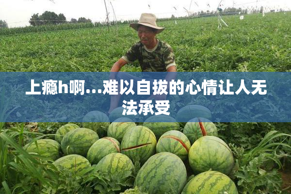 上瘾h啊…难以自拔的心情让人无法承受