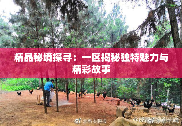 精品秘境探寻：一区揭秘独特魅力与精彩故事