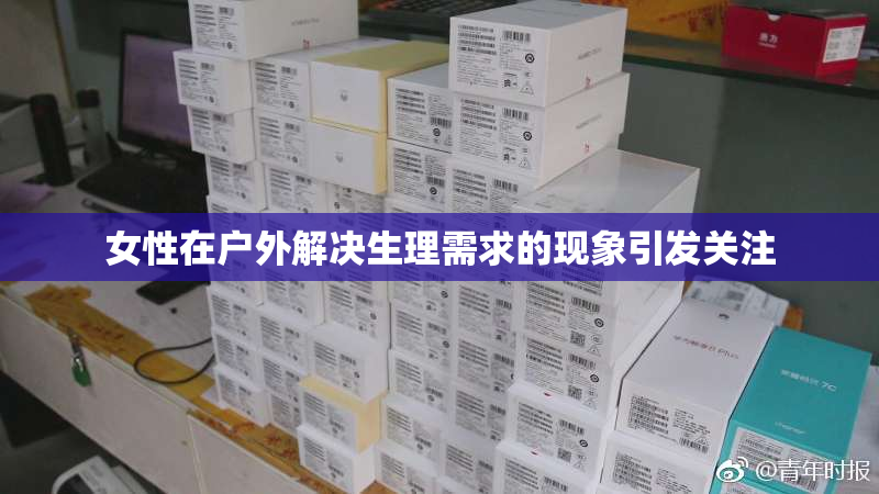 女性在户外解决生理需求的现象引发关注