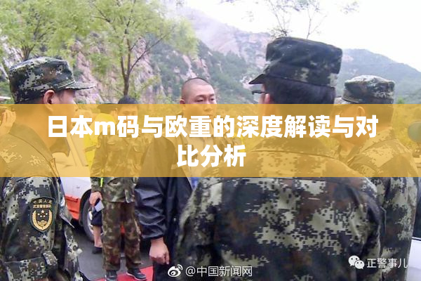 日本m码与欧重的深度解读与对比分析