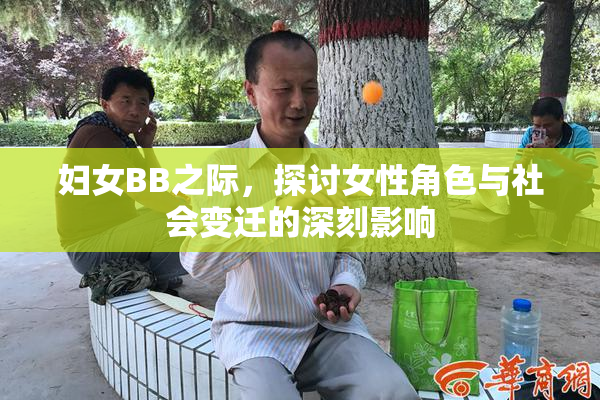 妇女BB之际，探讨女性角色与社会变迁的深刻影响