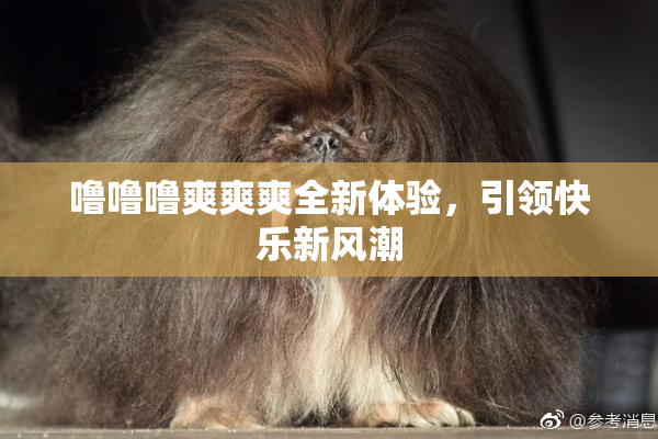 噜噜噜爽爽爽全新体验，引领快乐新风潮