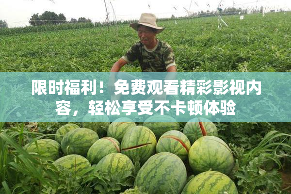 限时福利！免费观看精彩影视内容，轻松享受不卡顿体验