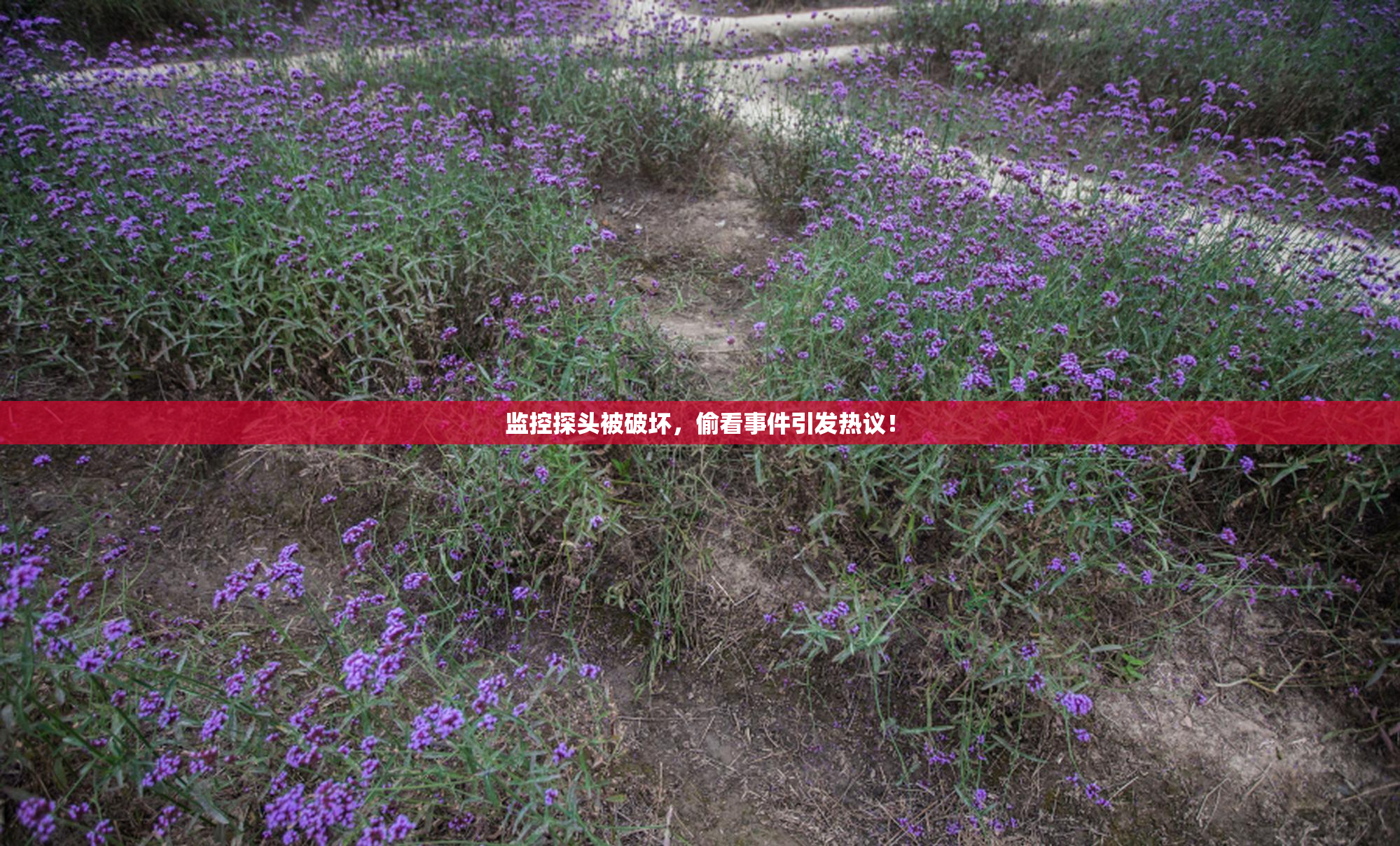 监控探头被破坏，偷看事件引发热议！