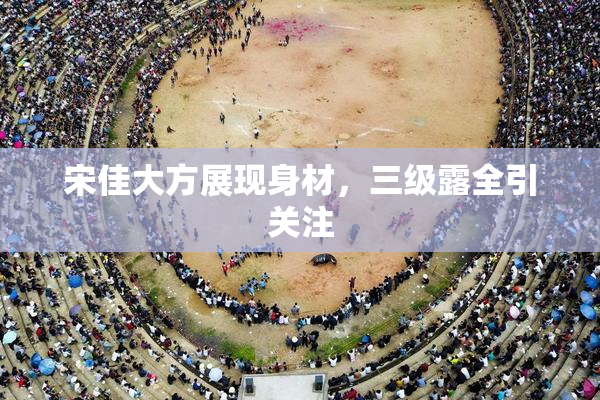 宋佳大方展现身材，三级露全引关注