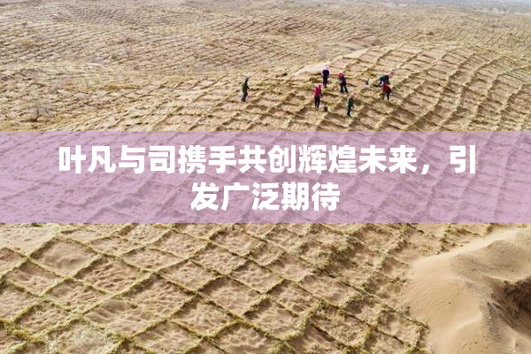 叶凡与司携手共创辉煌未来，引发广泛期待