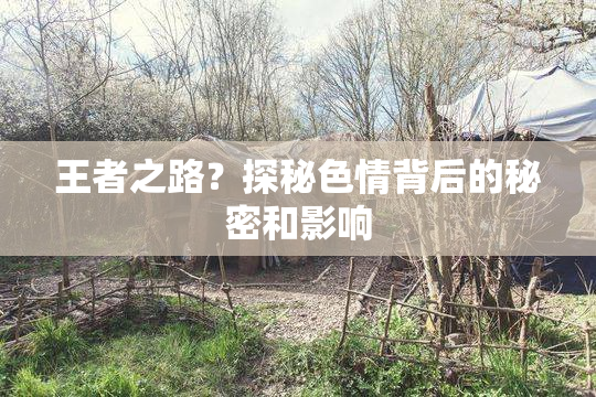 王者之路？探秘色情背后的秘密和影响