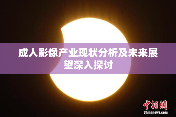 成人影像产业现状分析及未来展望深入探讨