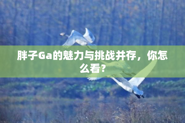 胖子Ga的魅力与挑战并存，你怎么看？