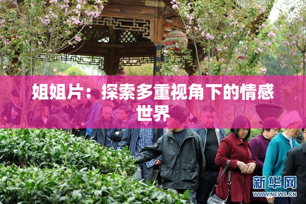 姐姐片：探索多重视角下的情感世界