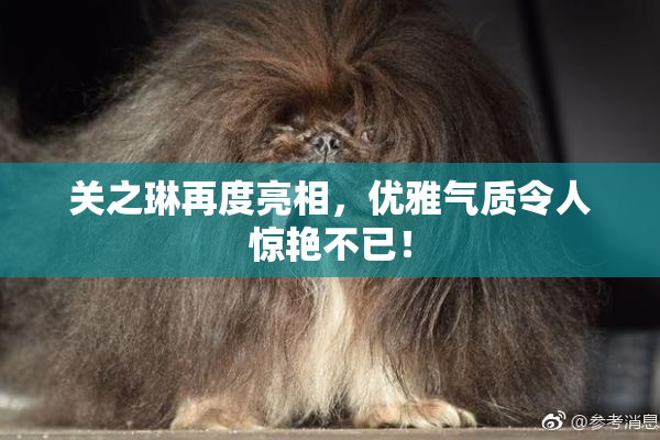 关之琳再度亮相，优雅气质令人惊艳不已！
