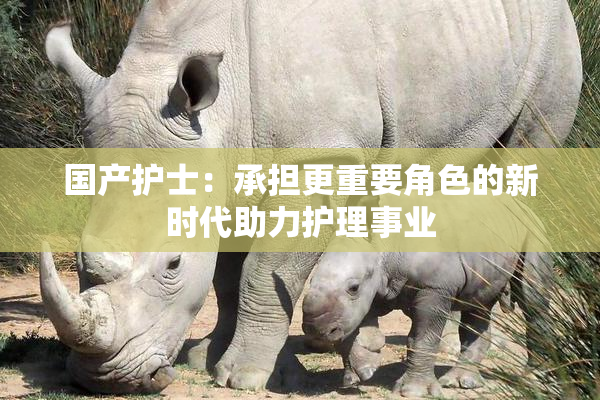 国产护士：承担更重要角色的新时代助力护理事业